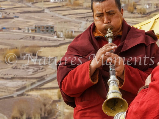 Horn Blower, Matho Monastery