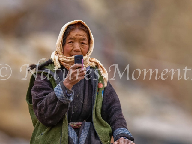 Ladakh Lady 