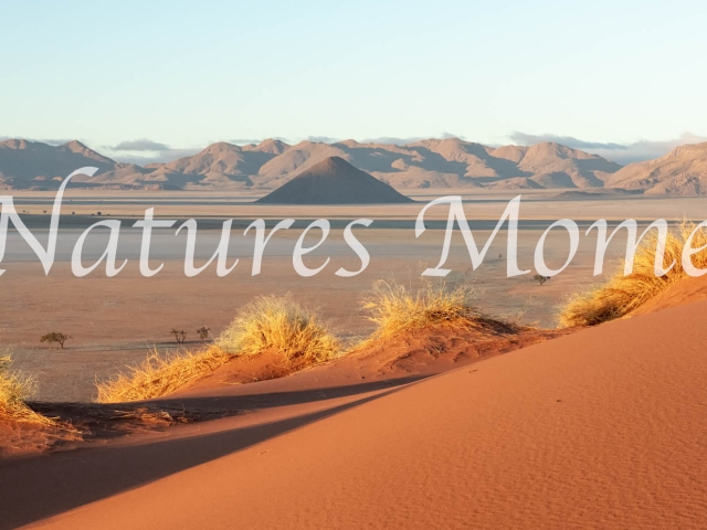 Namib Naukluft Park - Dune Patterns