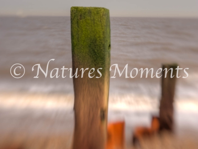 Aldeburgh Groynes 1