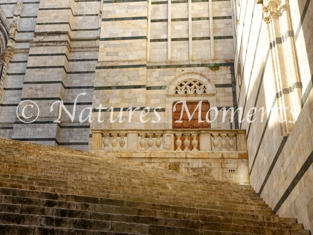 Duomo Di Siena Steps