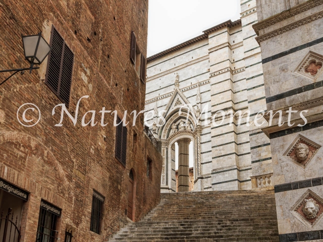 Duomo di Siena Steps
