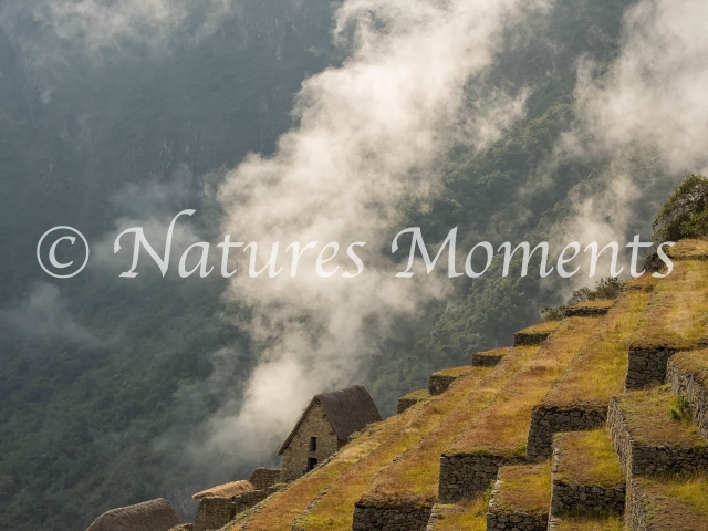 Machu Pichu Terraces