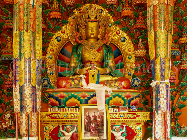 Budda at Matho Monastery